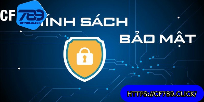 chinh-sach-bao-mat-phat-hien-sai-sot