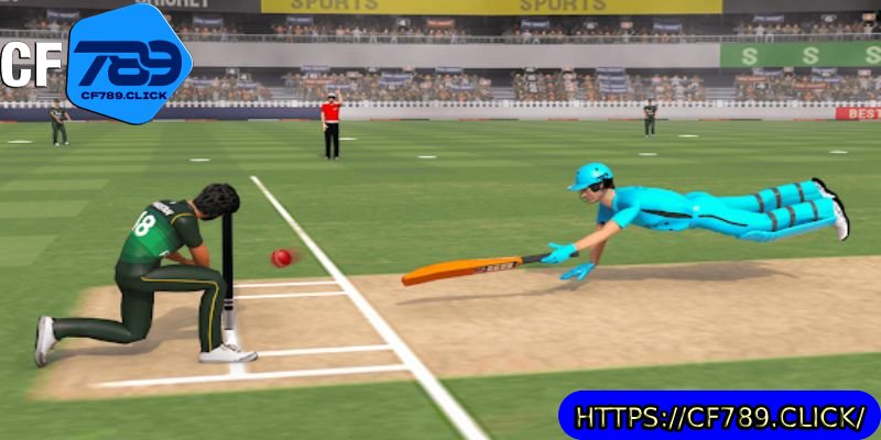cricket-ao-thu-hut