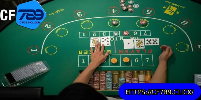 thuat-ngu-baccarat-soi-cau
